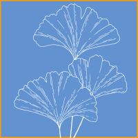 Icone fleurs de ginko