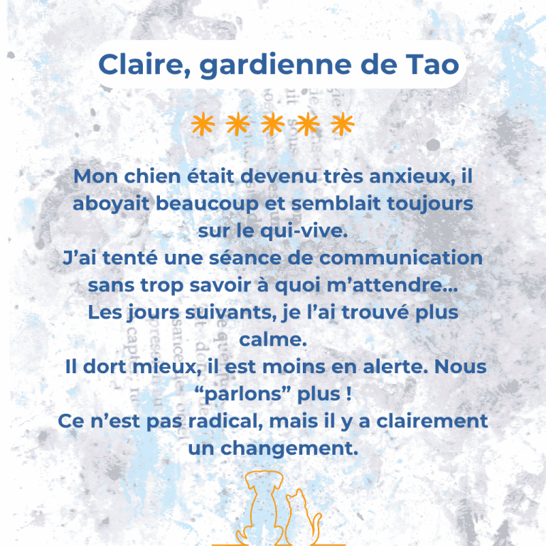 Avis communication animale chien anxieux apaisement comportement amélioration