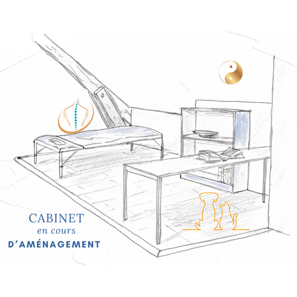 Illustration du futur cabinet de soins énergétiques et ostéofluidique de Laurence Lambert, dédié à l’accompagnement des personnes et des animaux